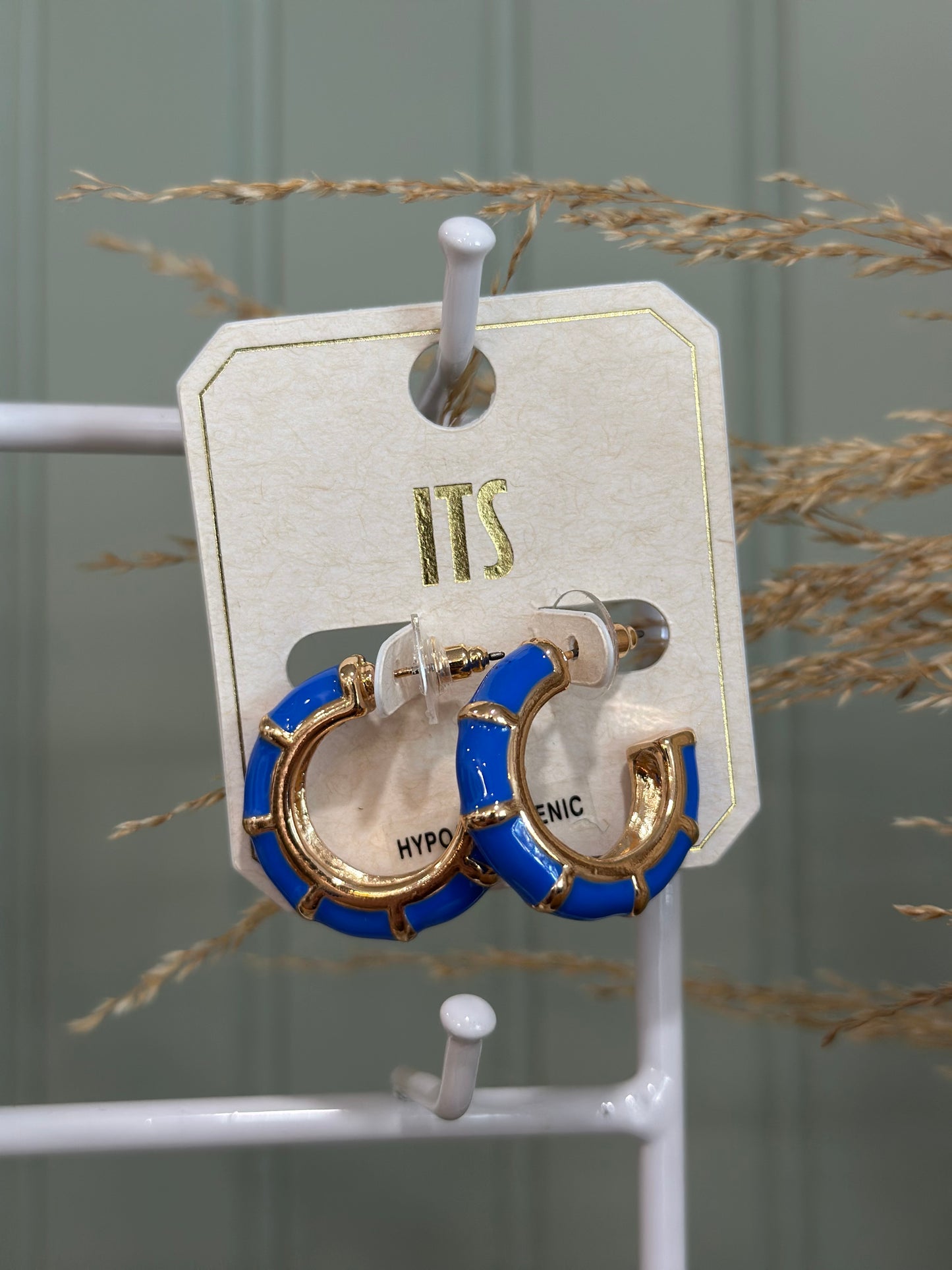 Blue Hoop Earrings