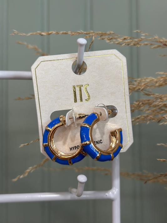 Blue Hoop Earrings