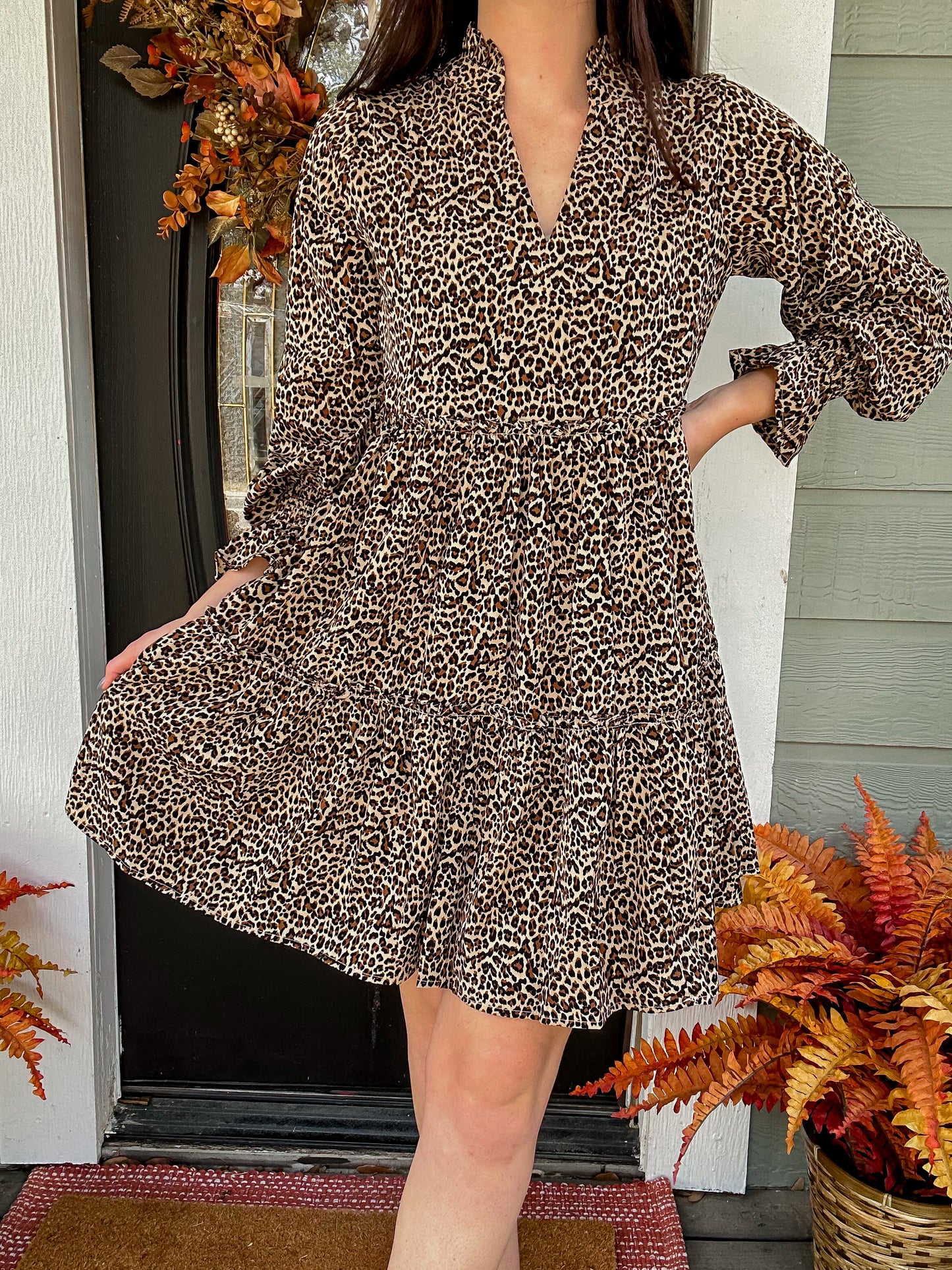 Mini Leopard Print Dress